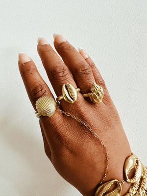 Divine Cowrie Ring