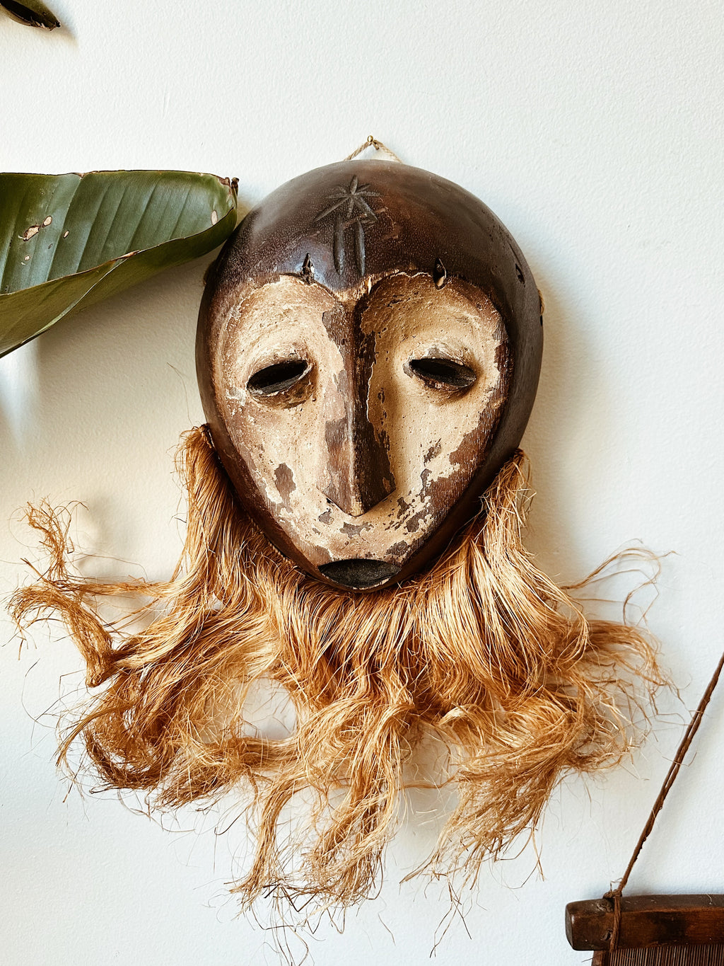 Bearded Lega Mask #5