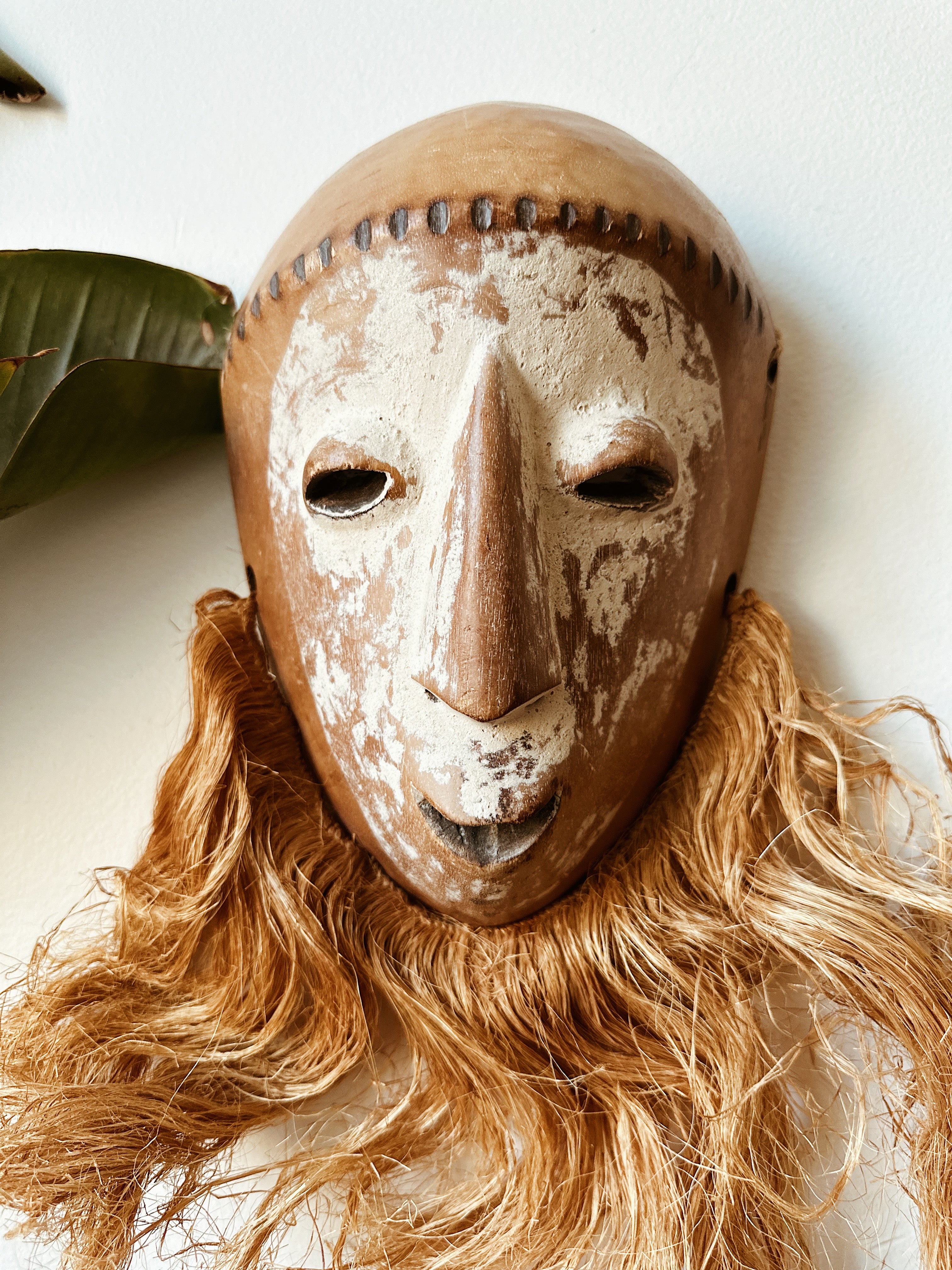 Bearded Lega Mask #3