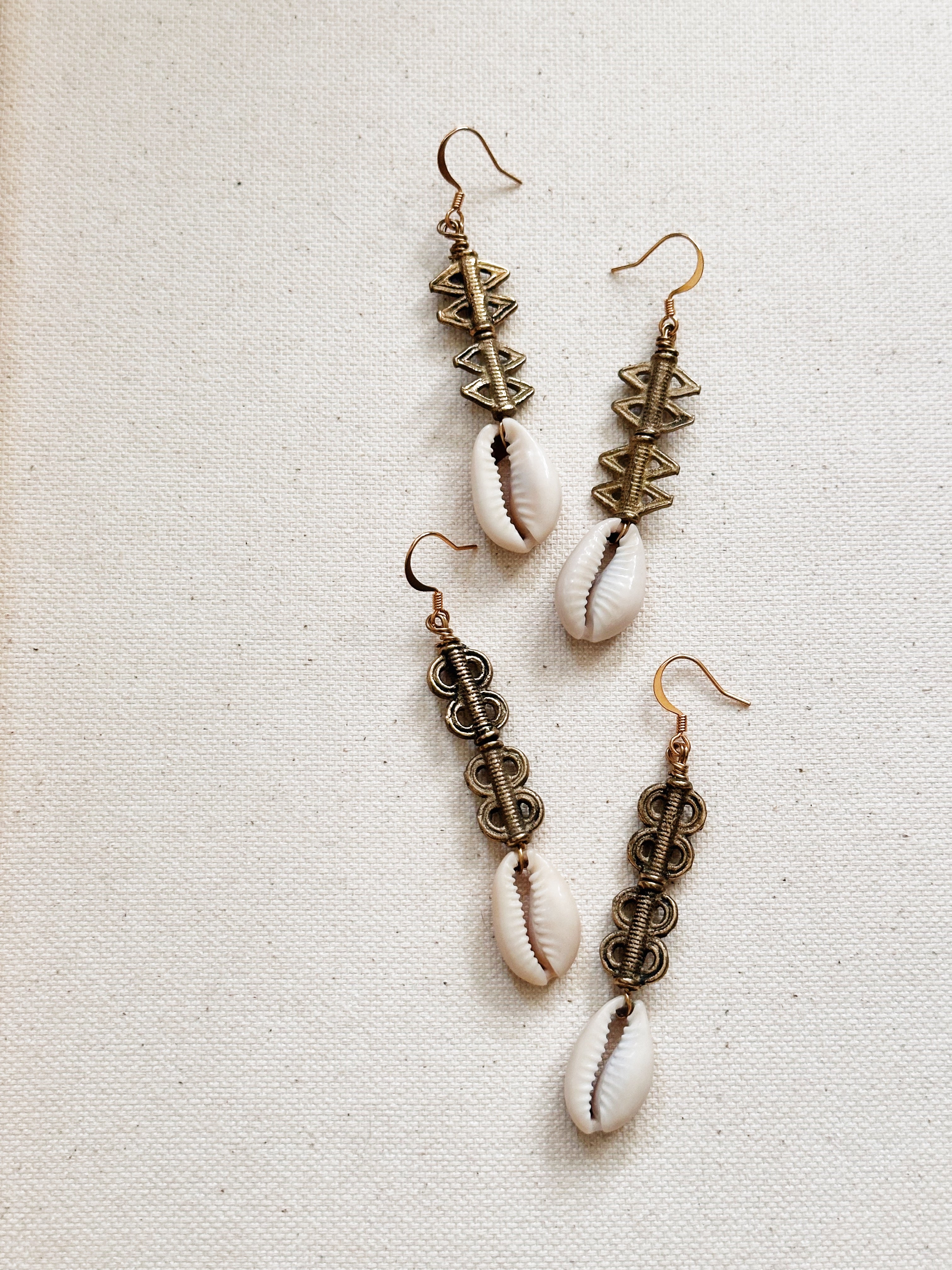 Cypraea Cowrie Shell Earrings