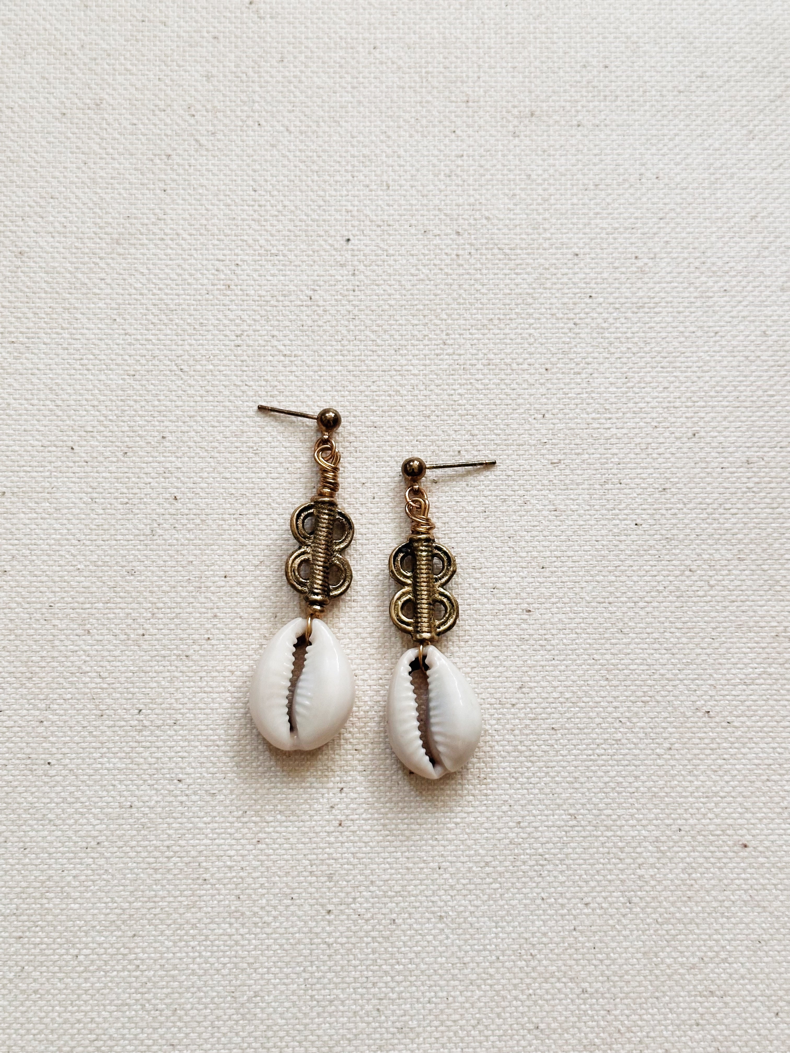Cypraea Cowrie Shell Earrings