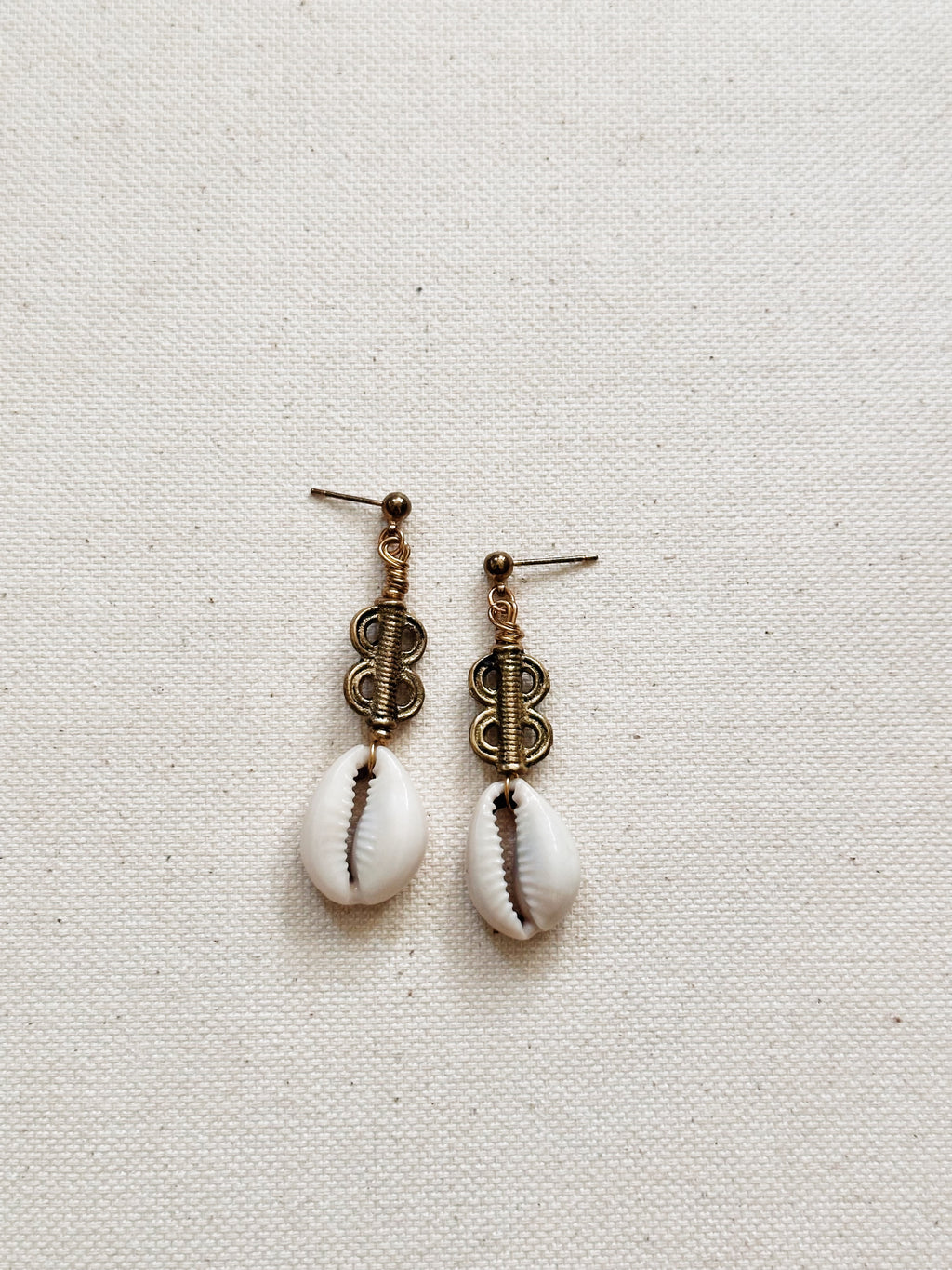 Cypraea Cowrie Shell Earrings