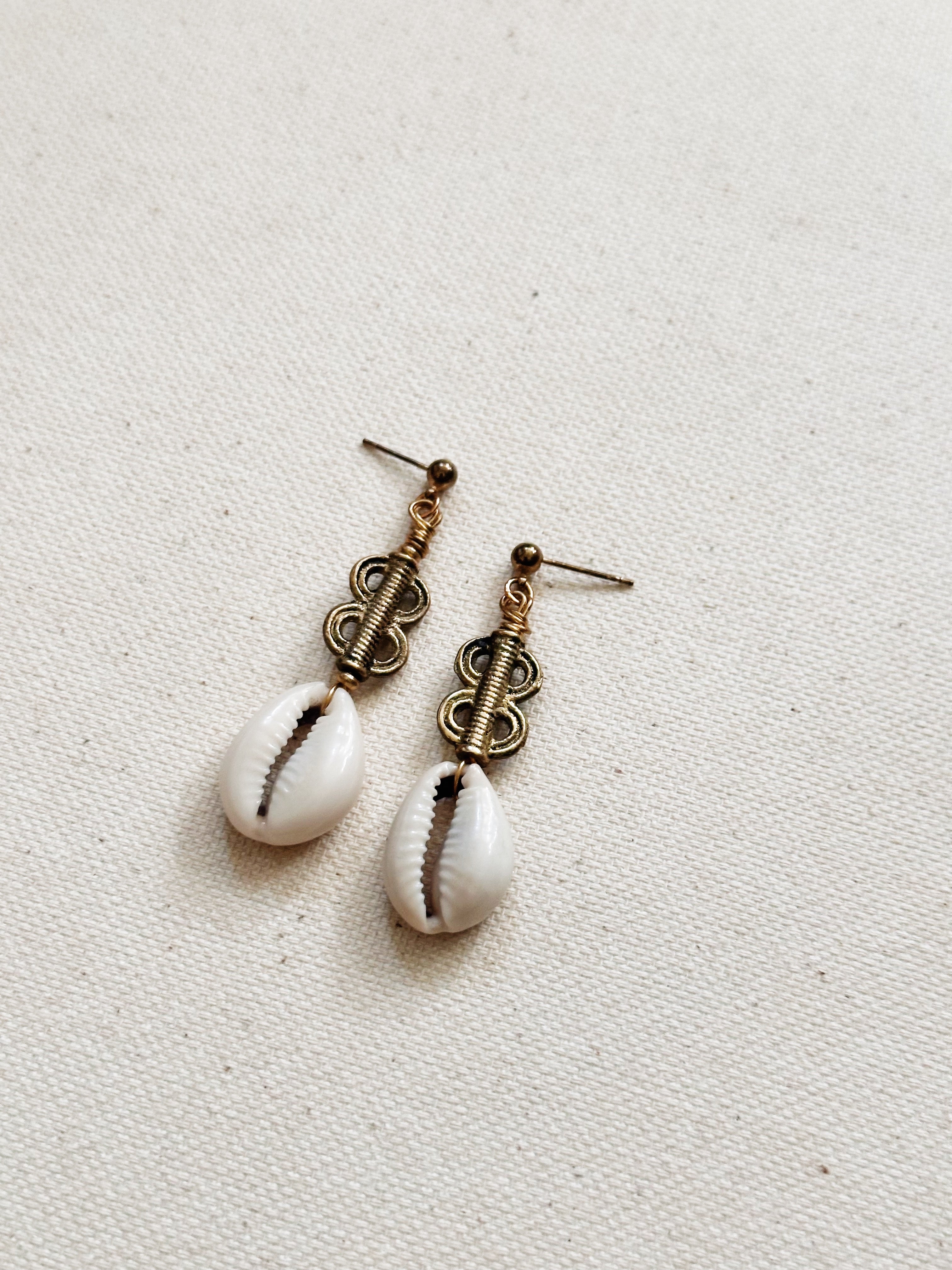 Cypraea Cowrie Shell Earrings