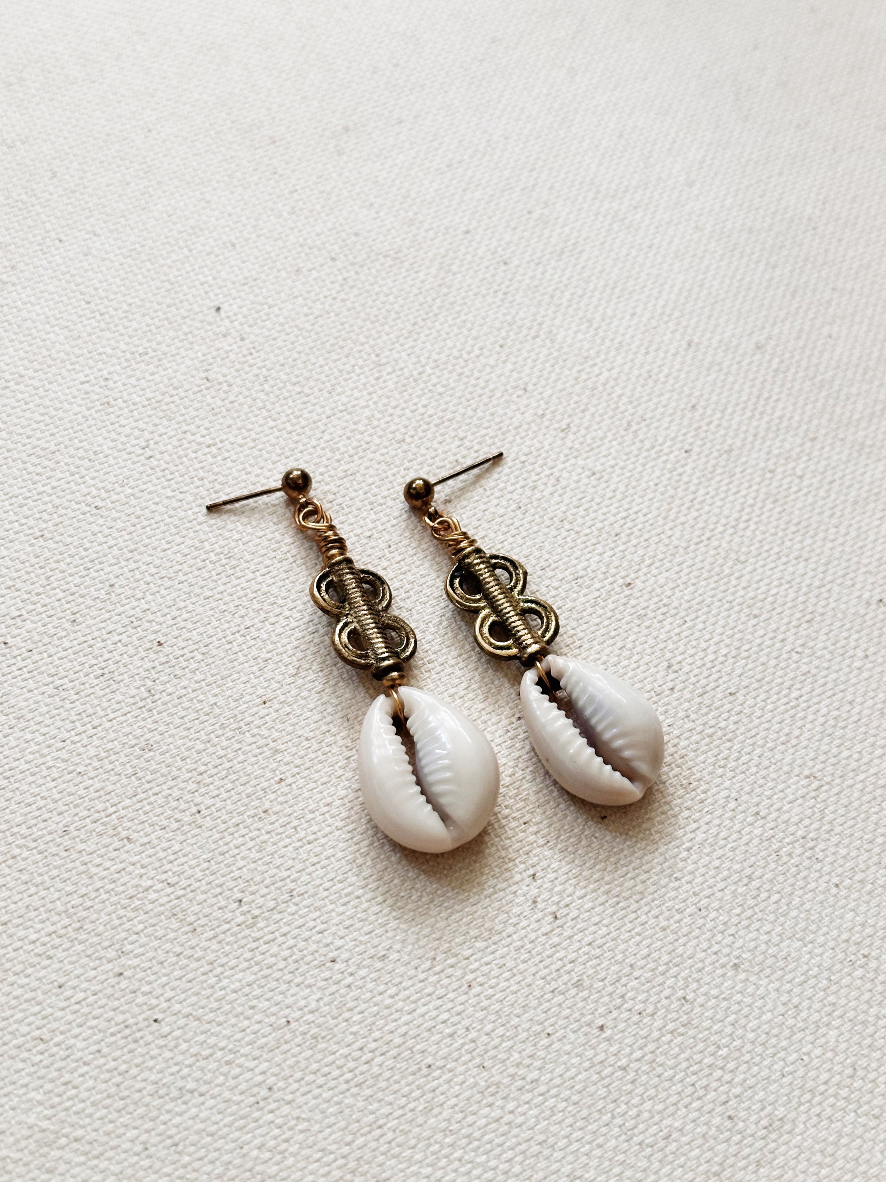Cypraea Cowrie Shell Earrings