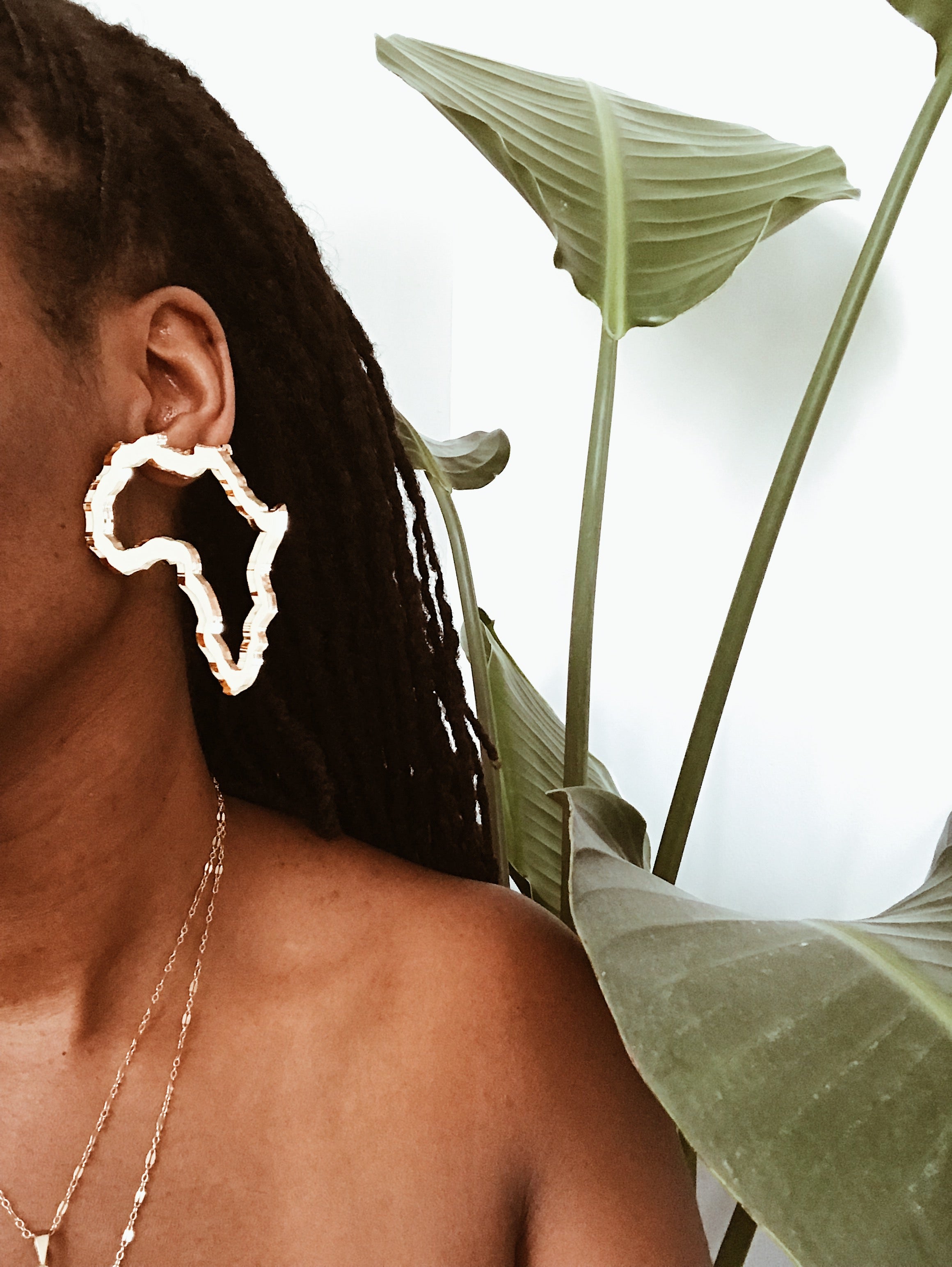 3” Mirror Gold Outline Africa Earrings