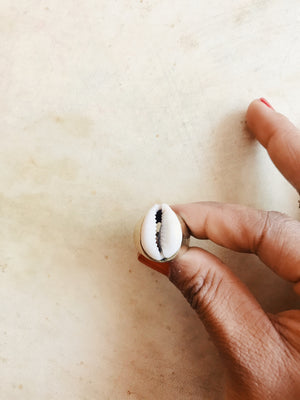 Cowrie Signet Ring